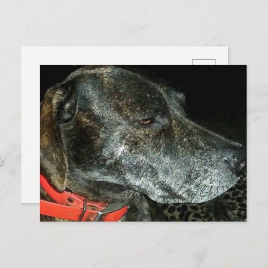 Schattige hond briefkaart (Voorkant / Achterkant)