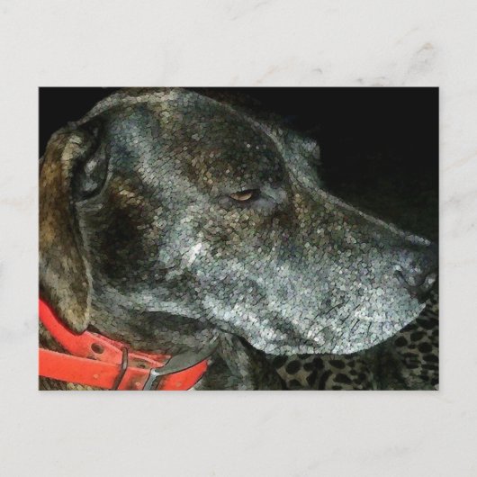 Schattige hond briefkaart (Voorkant)