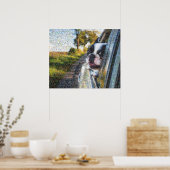 Schattige hond die uit het venstermozaïek hangt poster (Keuken)