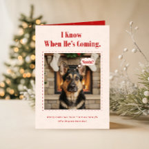 Schattige Hond Grappig Huisdier Familie Foto Kerst