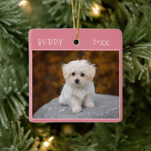 Schattige Hond huisdier 2 foto's Kerstmis Keramisch Ornament