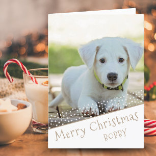Schattige hond huisdier foto sterren vrolijk kerst feestdagen kaart