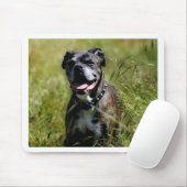 Schattige hond in gras muismat (Met muis)