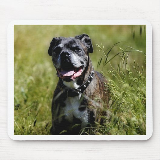 Schattige hond in gras muismat (Voorkant)