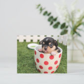 Schattige Hond in mok Briefkaart (Staand voorkant)