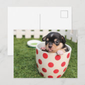 Schattige Hond in mok Briefkaart (Voorkant / Achterkant)