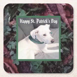 Schattige hond met groene sjaal St. Patrick's Day Kartonnen Onderzetters