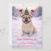 Schattige hond met kerstquote kerstkaart (Voorkant)
