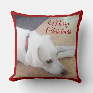 Schattige hond met rode halsband Kerstmis Kussen