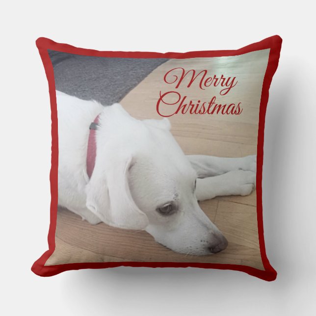Schattige hond met rode halsband Kerstmis Kussen (Voorkant)