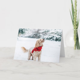 Schattige hond met rode sjaal feestdagen kaart
