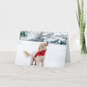 Schattige hond met rode sjaal feestdagen kaart