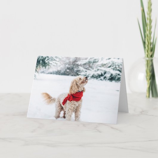 Schattige hond met rode sjaal feestdagen kaart (Voorkant)