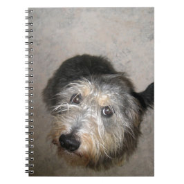 Schattige hond omhoog kijkend notitieboek