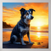 Schattige hond op het strand bij zonsondergang poster (Voorkant)