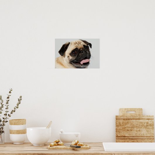 schattige hond poster (Keuken)