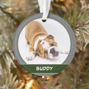 Schattige Hond Puppy Moderne Kersthuisdier Foto Ornament