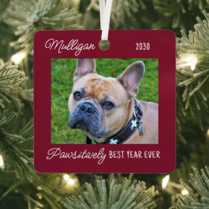 Schattige Hond Quarantine Kerstmis Rode Huisdier F Metalen Ornament