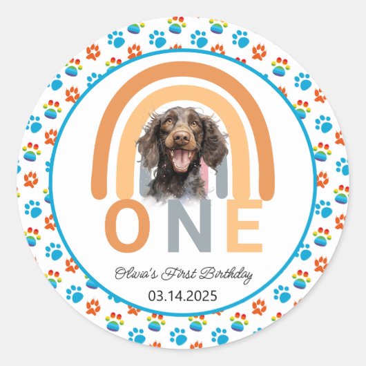 Schattige hond regenboog Waterverf 1e verjaardagsf Ronde Sticker (Voorkant)