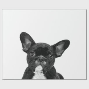 Schattige hond Zwart Frans Bulldog Face Cadeaupapier