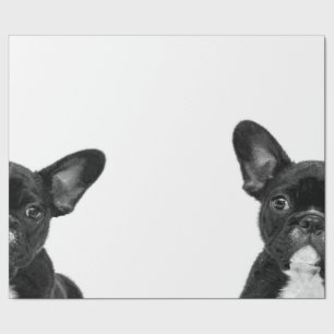Schattige hond Zwart Frans Bulldog Face Cadeaupapier