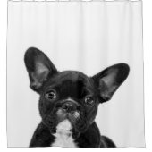 Schattige hond | Zwart Frans Bulldog Face Douchegordijn (Voorkant)