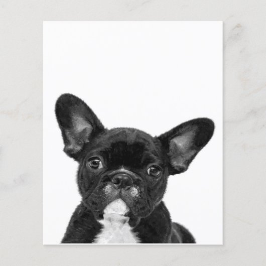 Schattige hond | Zwart Frans Bulldog Face Flyer (Voorkant)