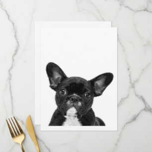 Schattige hond   Zwart Frans Bulldog Face Menu
