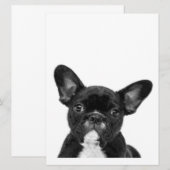 Schattige hond | Zwart Frans Bulldog Face Menu (Voorkant / Achterkant)