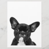 Schattige hond | Zwart Frans Bulldog Face Menu (Voorkant)