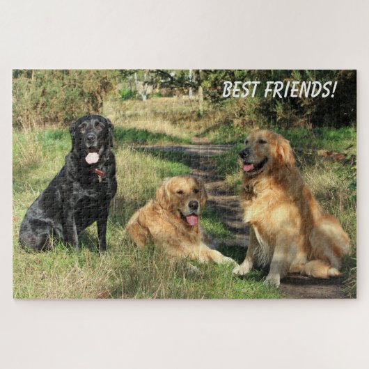 Schattige Honden Beste Vrienden Legpuzzel (Horizontaal)