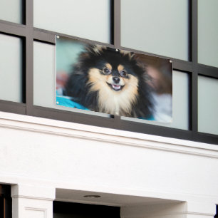 Schattige Honden die naar Buiten Kijken Ambachten Spandoek