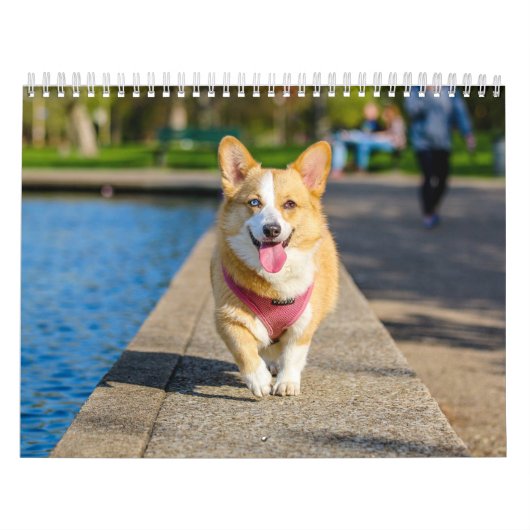 Schattige Honden Eenvoudig Minimaal Kalender (Hoes)