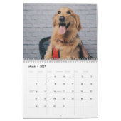 Schattige Honden Eenvoudig Minimaal Kalender (Mar 2027)