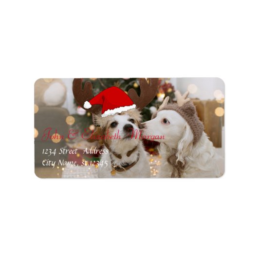 Schattige Honden Met Kerstman Hoed Etiket (Voorkant)