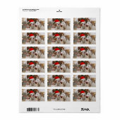 Schattige Honden Met Kerstman Hoed Etiket (Full Sheet)