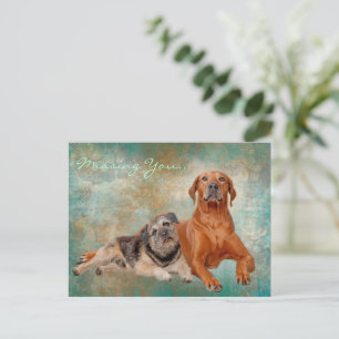 Schattige honden op kunst die je missen briefkaart