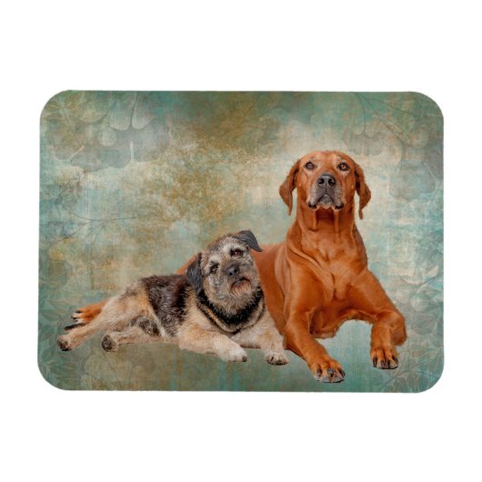 Schattige honden op kunst magneet (Horizontaal)