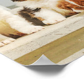 Schattige Honden Poster (Hoek)