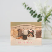 Schattige hondenasiel op zijn plaats | Sheltie Bri Briefkaart (Staand voorkant)