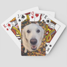 Schattige hondencadeau voor ouders