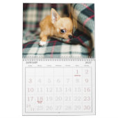 Schattige hondenkalender kalender (Jan 2027)