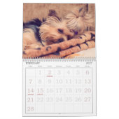Schattige hondenkalender kalender (Feb 2027)