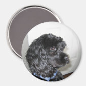 Schattige hondenmagneet magneet (Voorkant / Achterkant)