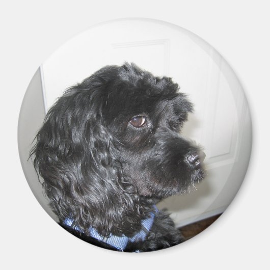 Schattige hondenmagneet magneet (Voorkant)