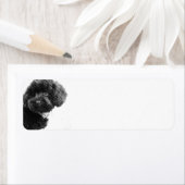 Schattige Hondenpuppy Zwart-wit l Fotografie Etiket (Insitu)