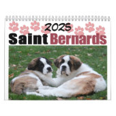 Schattige Hondenras Saint Bernard Puppy Kalender (Hoes)