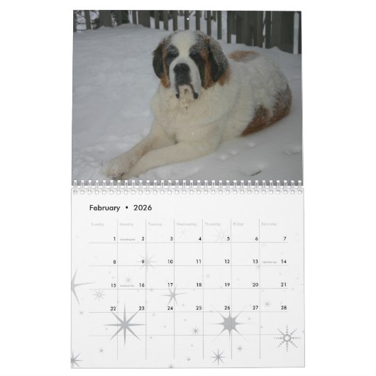 Schattige Hondenras Saint Bernard Puppy Kalender (Feb 2026)