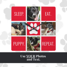 Schattige Hondenslaap Eet Herhaal Dierenvriend Mod