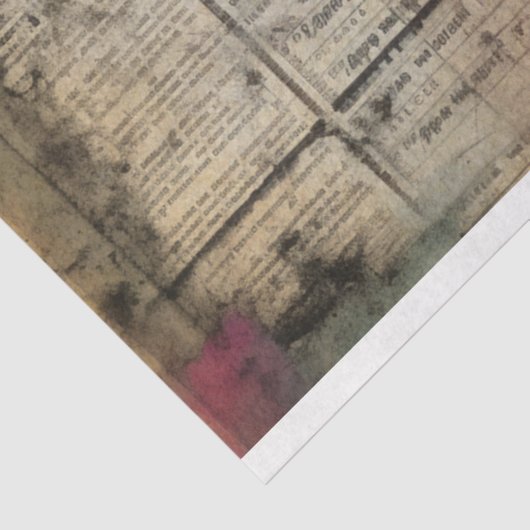 Schattige Hoogland Koe Portret Ephemera Tissuepapier (Detail)